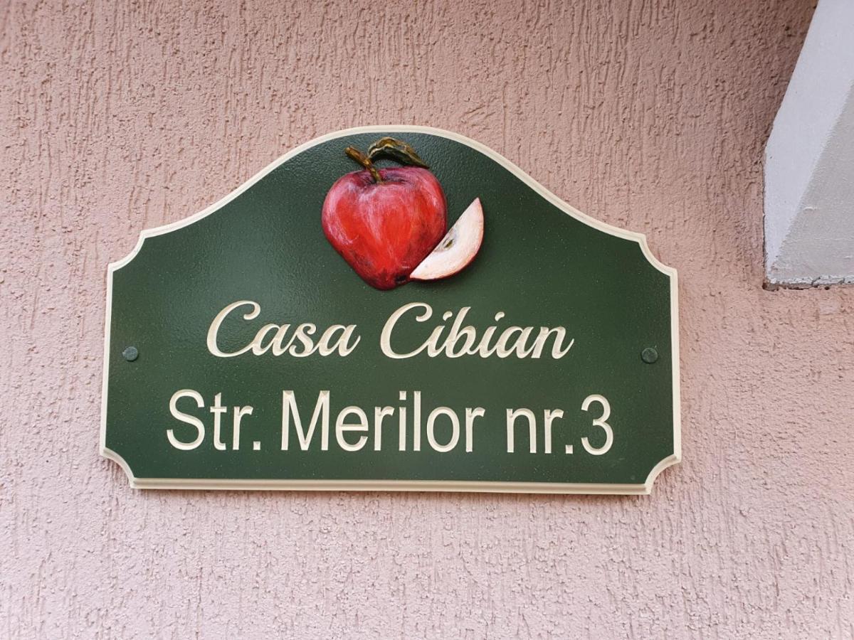 Casa Cibian Apartment Brasov Ngoại thất bức ảnh